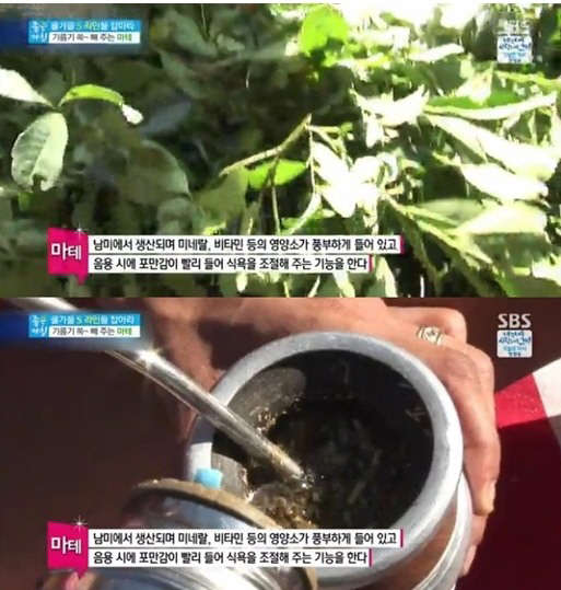 사진=SBS 방송 영상 캡처